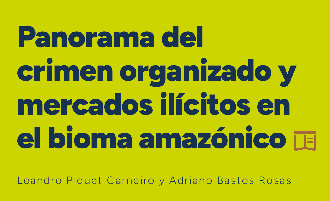 Panorama del crimen organizado y mercados ilícitos en el bioma amazónico